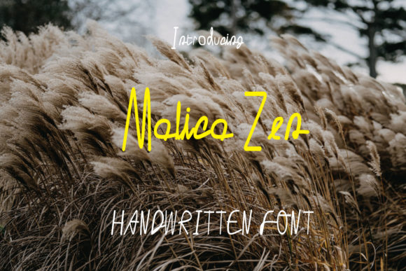 Malica Zen: A Friendly Handwritten Font